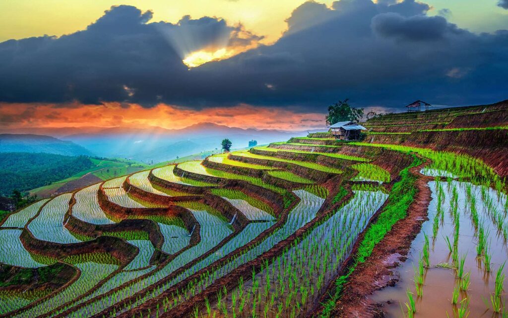 Destinations secrètes sur les rizières en terrasse de Banaue