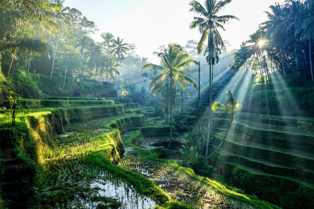 Bali, Indonésie