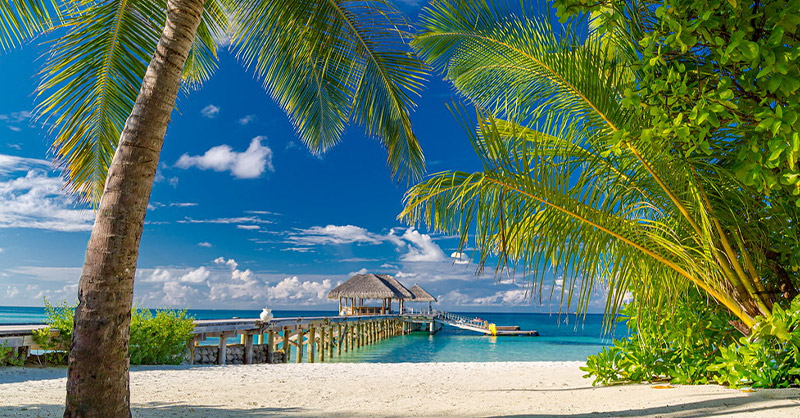 Voyage en Caraïbe : une magnifique plage des Caraïbes au levier du soleil. Le sable est fin et blanc, bordé de palmiers légèrement courbés par la brise. L'eau turquoise est cristalline, avec des nuances de bleu et de vert qui scintillent sous la lumière du soleil. Quelques petites barques colorées flottent tranquillement sur l'eau, et au loin, un voilier est visible à l'horizon. Le ciel est légèrement rosé avec des nuages ​​doux, donnant une ambiance paisible et paradisiaque.