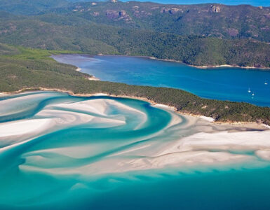 Whitehaven Beach : une image de la plage avec son sable blanc et ses eaux turquoise.