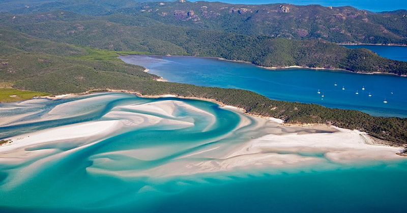 Whitehaven Beach : une image de la plage avec son sable blanc et ses eaux turquoise.